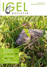 Titelbild Bulletin 55 - April 2019