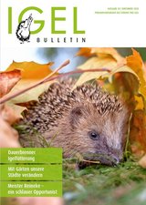 Titelbild Bulletin 58 - November 2020