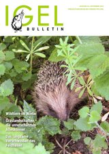 Titelbild Bulletin 62 - November 2022