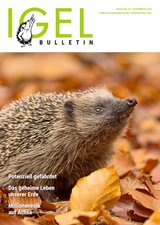 Titelbild Bulletin 64 - November 2023
