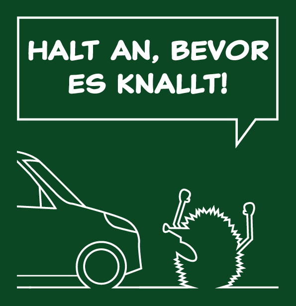 Igel auf einer nächtlichen Strasse