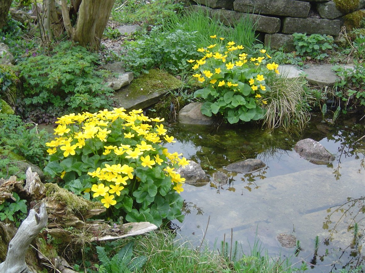Wasserstellen einrichten