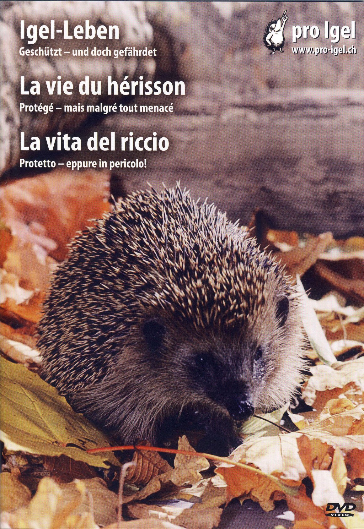 DVD «Igel – Leben»