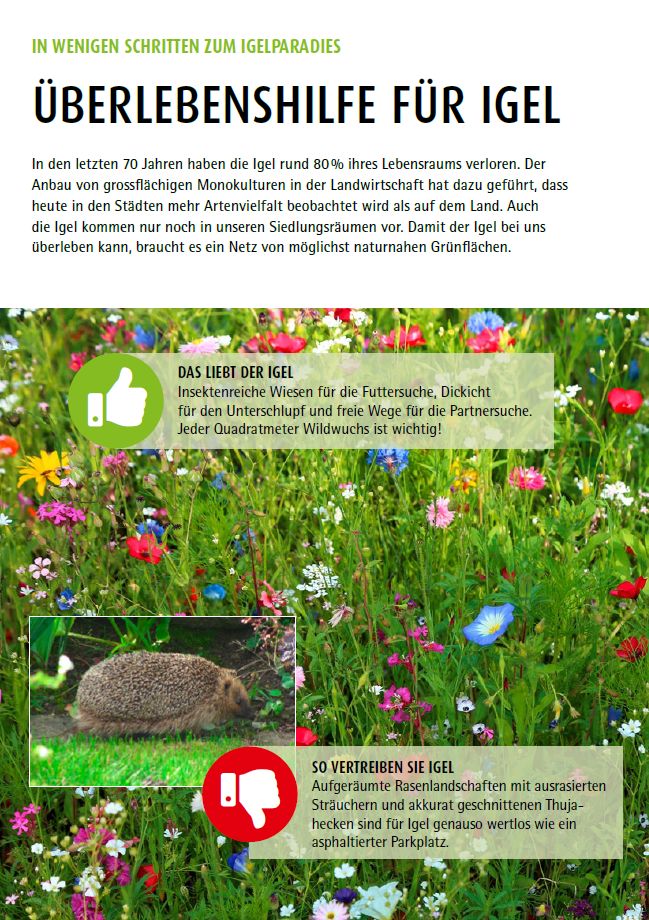 Merkblatt «Überlebenshilfe für Igel»