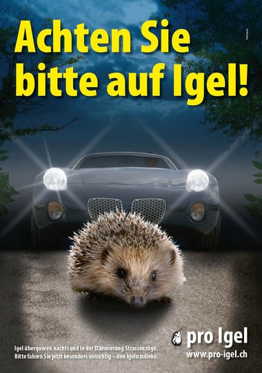 Strassenplakat: Achten Sie bitte auf Igel